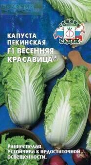Купить оптом в Ботанике семена Капуста пекинская Весенняя красавица Сед бренд СеДеК