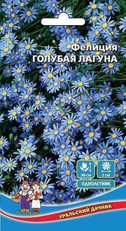 Купить оптом в Ботанике семена Фелиция Голубая лагуна УД бренд Уральский дачник