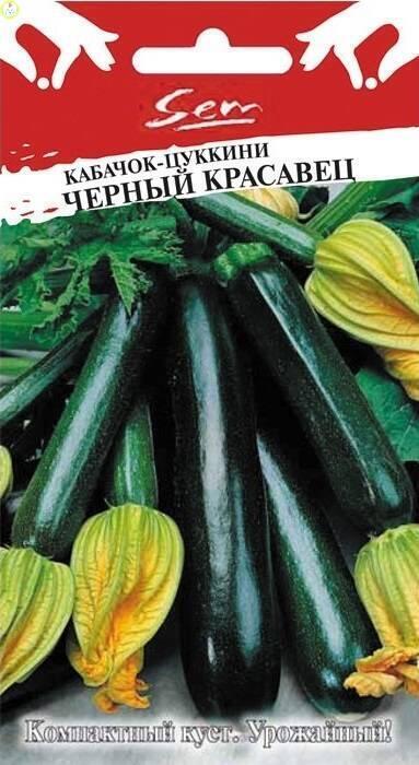 Купить оптом в Ботанике семена Кабачок Черный Красавец цуккини НК бренд НК