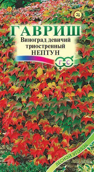 Купить оптом в Ботанике семена Виноград Нептун триостренный Гав бренд Гавриш