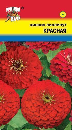 Купить оптом в Ботанике семена Цинния Лиллипут красная УУ бренд Урожай Удачи