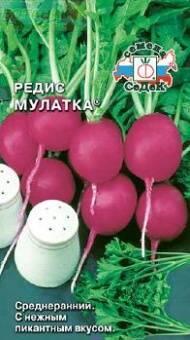 Купить оптом в Ботанике семена Редис Мулатка Сед бренд СеДеК