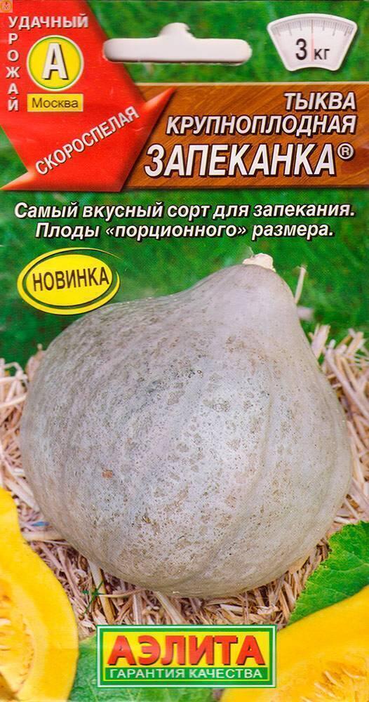 Купить оптом в Ботанике семена Тыква Запеканка Аэл бренд Аэлита