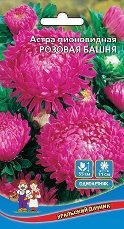 Купить оптом в Ботанике семена Астра Розовая башня УД бренд Уральский дачник