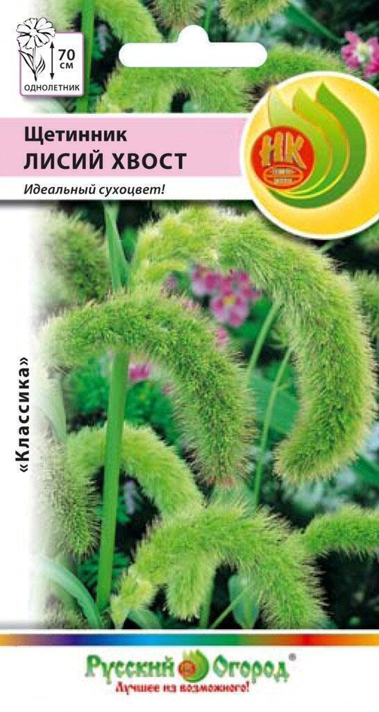 Купить оптом в Ботанике семена Щетинник Лисий хвост НК бренд НК