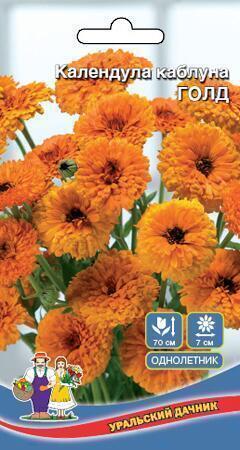 Купить оптом в Ботанике семена Календула Каблуна Голд УД бренд Уральский дачник