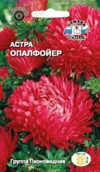 Купить оптом в Ботанике семена Астра Опалфойер Сед бренд СеДеК
