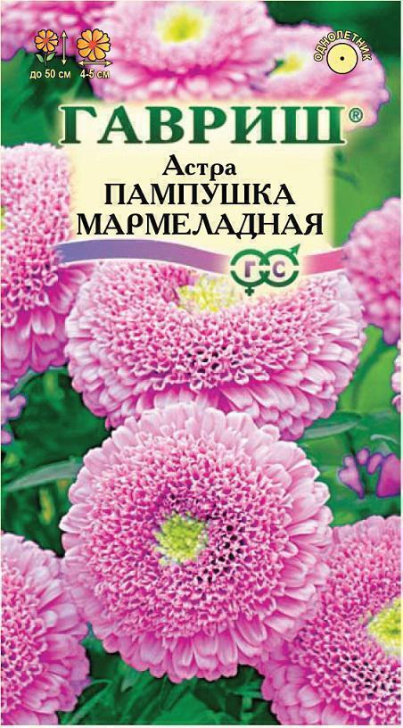 Купить оптом в Ботанике семена Астра Пампушка мармеладная Гав бренд Гавриш