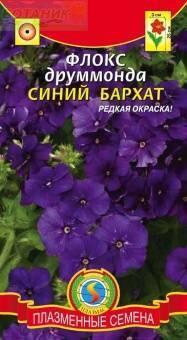 Купить оптом в Ботанике семена Флокс Синий бархат друммонда Плз бренд Плазмас