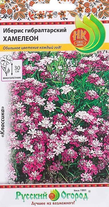 Купить оптом в Ботанике семена Иберис Гибралтарский Хамелеон НК бренд НК