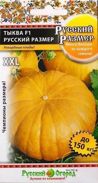 Купить оптом в Ботанике семена Тыква Русский размер F1 НК бренд НК