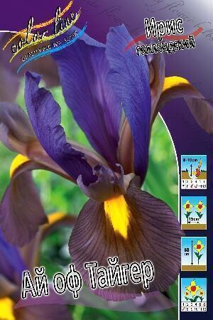 Купить оптом в Ботанике Ирис Ай оф Тайгер 10 шт
