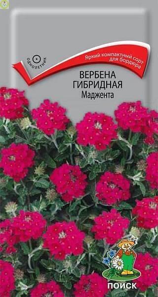 Купить оптом в Ботанике семена Вербена Маджента гибридная Поиск бренд Поиск