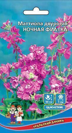 Купить оптом в Ботанике семена Маттиола (Ночная фиалка) УД бренд Уральский дачник