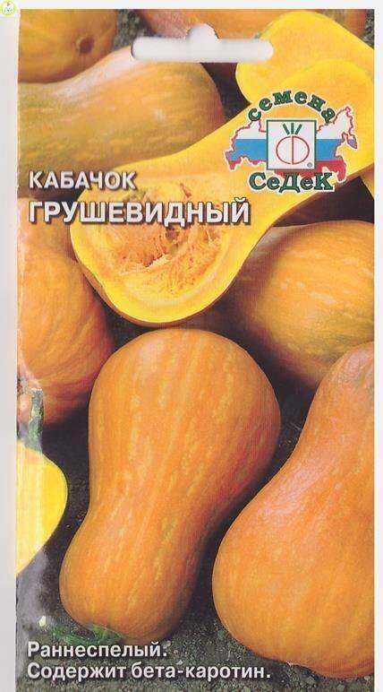 Купить оптом в Ботанике семена Кабачок Грушевидный Сед бренд СеДеК
