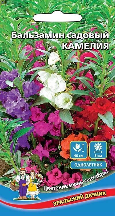 Купить оптом в Ботанике семена Бальзамин Камелия УД бренд Уральский дачник
