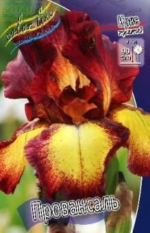 Купить оптом в Ботанике Ирис Провансаль 1 шт