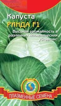Купить оптом в Ботанике семена Капуста белокочанная Ринда F1 Плз бренд Плазмас