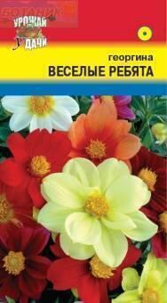 Купить оптом в Ботанике семена Георгина Веселые ребята УУ бренд Урожай Удачи
