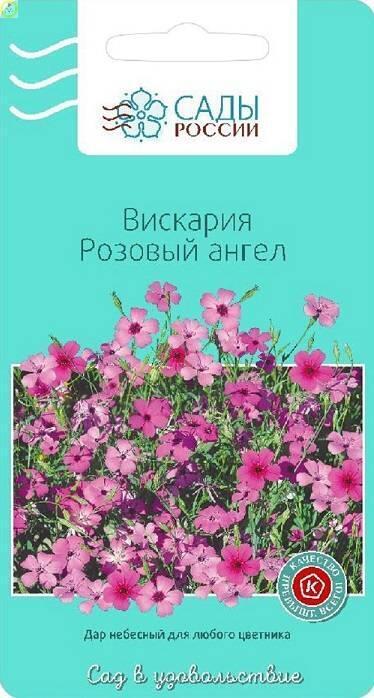 Купить оптом в Ботанике семена Вискария Розовый ангел СиО бренд Сад и огород