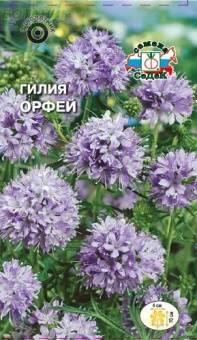 Купить оптом в Ботанике семена Гилия Орфей Сед бренд СеДеК