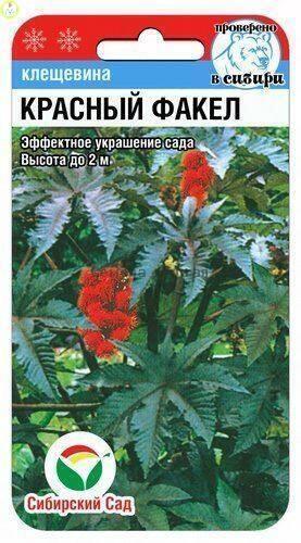 Купить оптом в Ботанике семена Клещевина Красный факел СС бренд Сиб.сад
