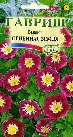 Купить оптом в Ботанике семена Вьюнок Огненная земля Гав бренд Гавриш