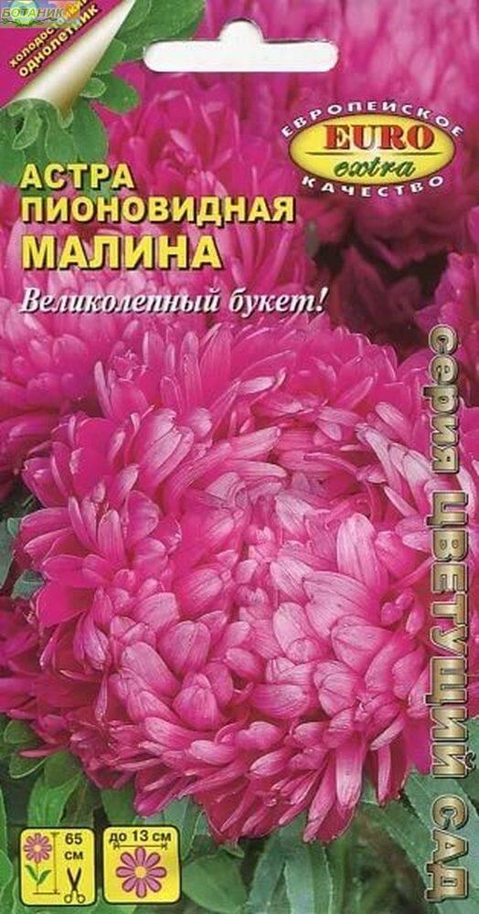 Купить оптом в Ботанике семена Астра Малина пионовидная Аэл бренд Аэлита
