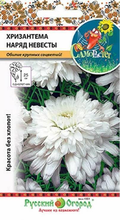 Купить оптом в Ботанике семена Хризантема Наряд невесты НК бренд НК