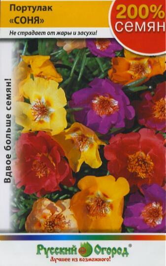 Купить оптом в Ботанике семена Портулак Соня смесь НК бренд НК