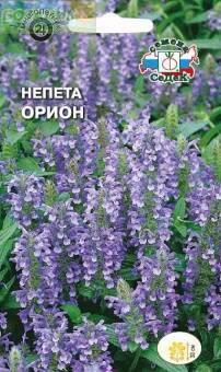 Купить оптом в Ботанике семена Непета Орион Сед бренд СеДеК