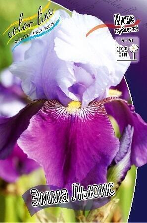 Купить оптом в Ботанике Ирис Эмма Льюис 2 шт