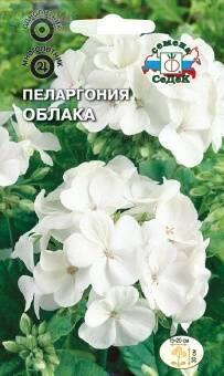 Купить оптом в Ботанике семена Пеларгония Облака Сед бренд СеДеК