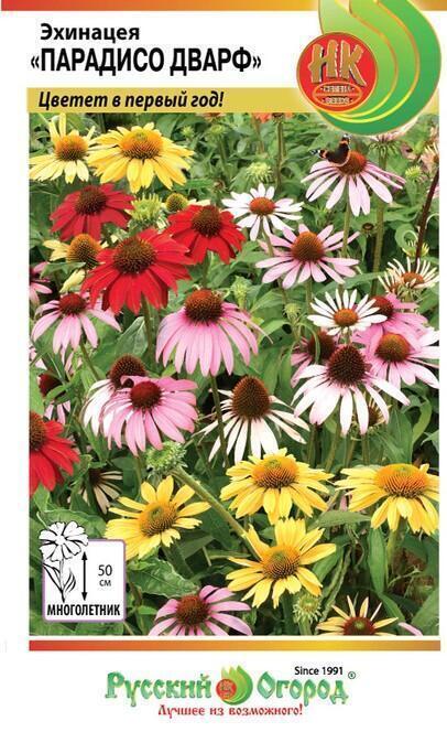 Купить оптом в Ботанике семена Эхинацея Парадисо Дварф смесь НК бренд НК