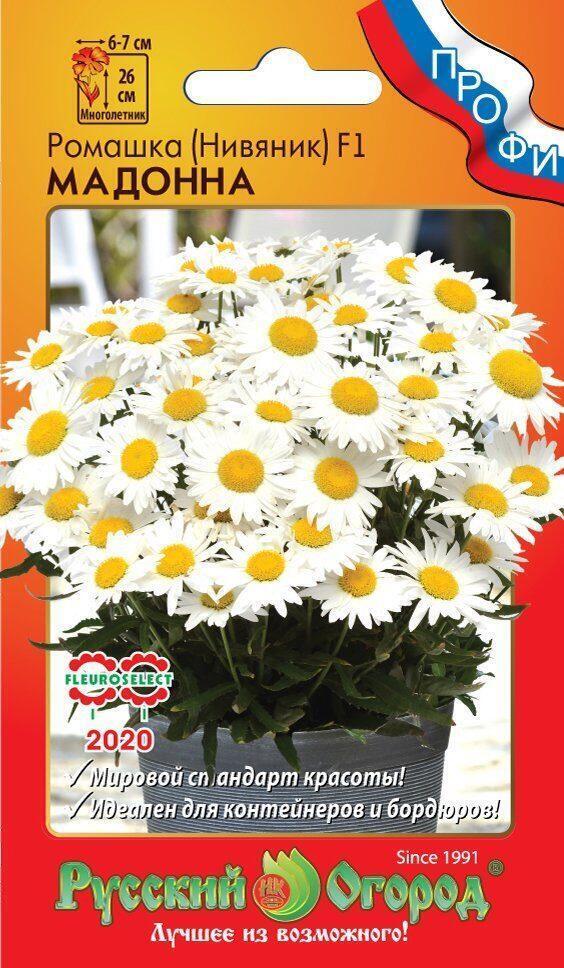 Купить оптом в Ботанике семена Ромашка Мадонна НК бренд НК