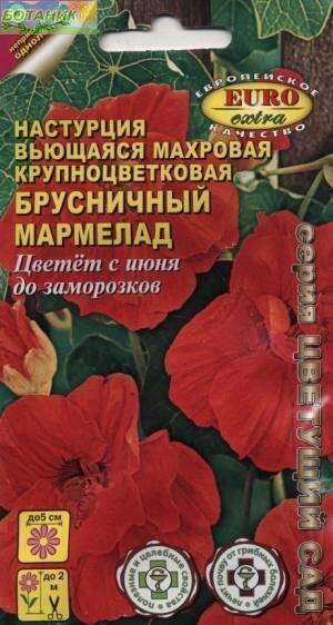 Купить оптом в Ботанике семена Настурция Брусничный мармелад Аэл бренд Аэлита