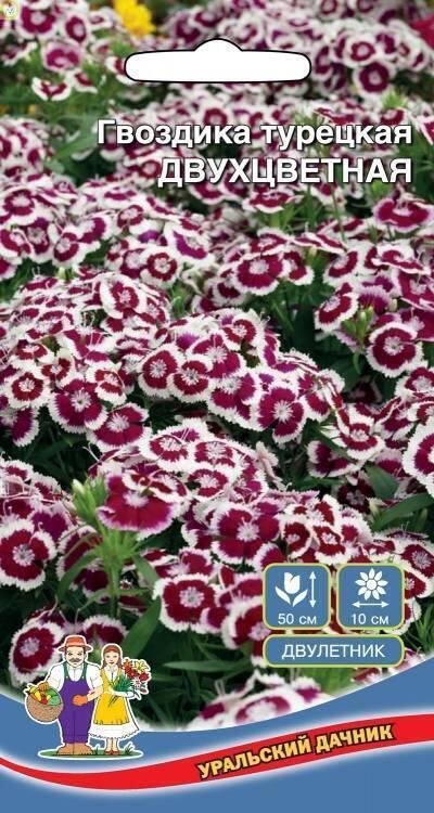 Купить оптом в Ботанике семена Гвоздика турецкая Двухцветная УД бренд Уральский дачник