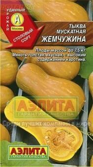 Купить оптом в Ботанике семена Тыква Жемчужина Аэл бренд Аэлита
