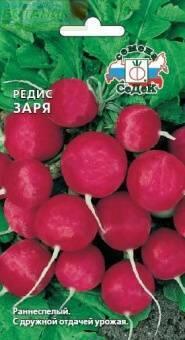 Купить оптом в Ботанике семена Редис Заря Сед бренд СеДеК