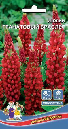 Купить оптом в Ботанике семена Люпин Гранатовый браслет УД бренд Уральский дачник