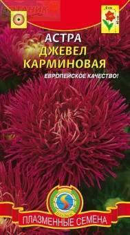 Купить оптом в Ботанике семена Астра Джевел карминовая Плз бренд Плазмас