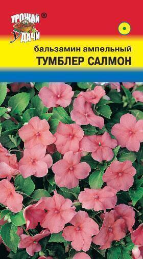 Купить оптом в Ботанике семена Бальзамин Тумблер салмон ампельный УУ бренд Урожай Удачи