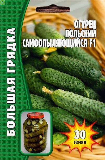 Купить оптом в Ботанике семена Огурец Польский самоопыляющийся Реш бренд Решение, ООО