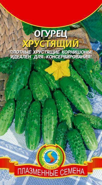Купить оптом в Ботанике семена Огурец Хрустящий Плз бренд Плазмас