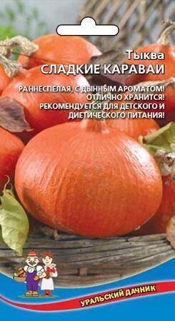 Купить оптом в Ботанике семена Тыква Сладкие караваи УД бренд Уральский дачник