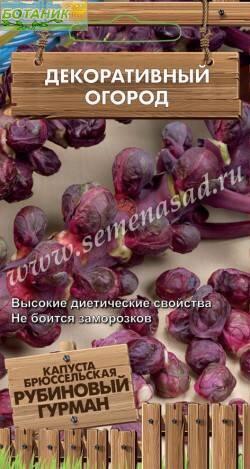 Купить оптом в Ботанике семена Капуста брюссельская Рубиновый гурман Поиск бренд Поиск