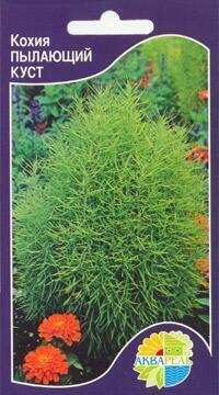 Купить оптом в Ботанике семена Кохия Пылающий куст Акв бренд Акварель