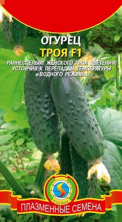 Купить оптом в Ботанике семена Огурец Троя F1 Плз бренд Плазмас