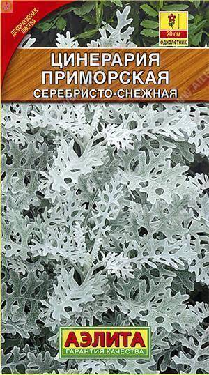 Купить оптом в Ботанике семена Цинерария Серебристо-снежная Аэл бренд Аэлита