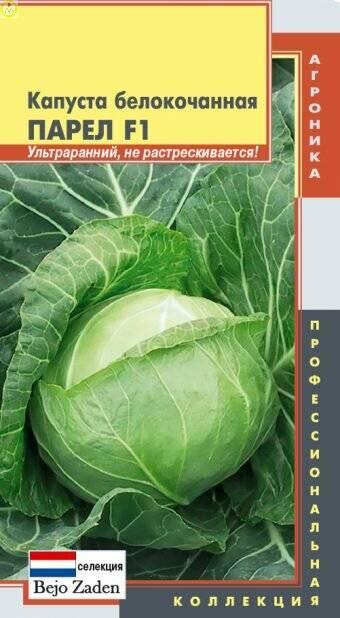 Купить оптом в Ботанике семена Капуста белокочанная Парел F1 Плз бренд Плазмас